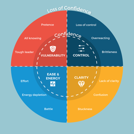 A framework of the experiences of confidence and loss of confidence within the context of senior leadership transition