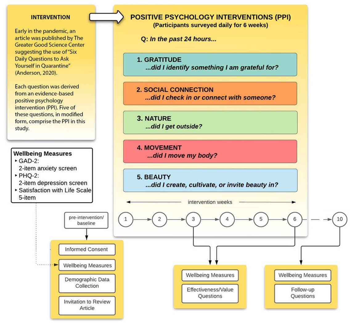 Overview of study design