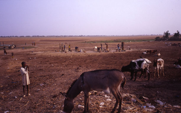 Women Pounding Millet Village Edge
