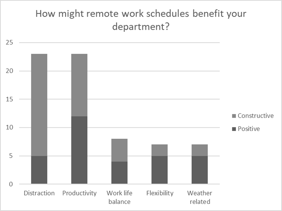 Categorized sample of the themes surfaced in the question about the benefits of working remotely on the employee’s division from the 2019 Christian Brothers Services’ culture survey.