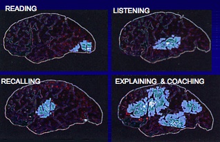 Regions of the brain engaged in different cognitive tasks