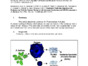 Nucleolus_Extraction_FINAL.pdf