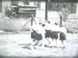 1946 dancing.avi