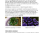 Microbes and Mucus Science Show! Resource January 2022.pdf